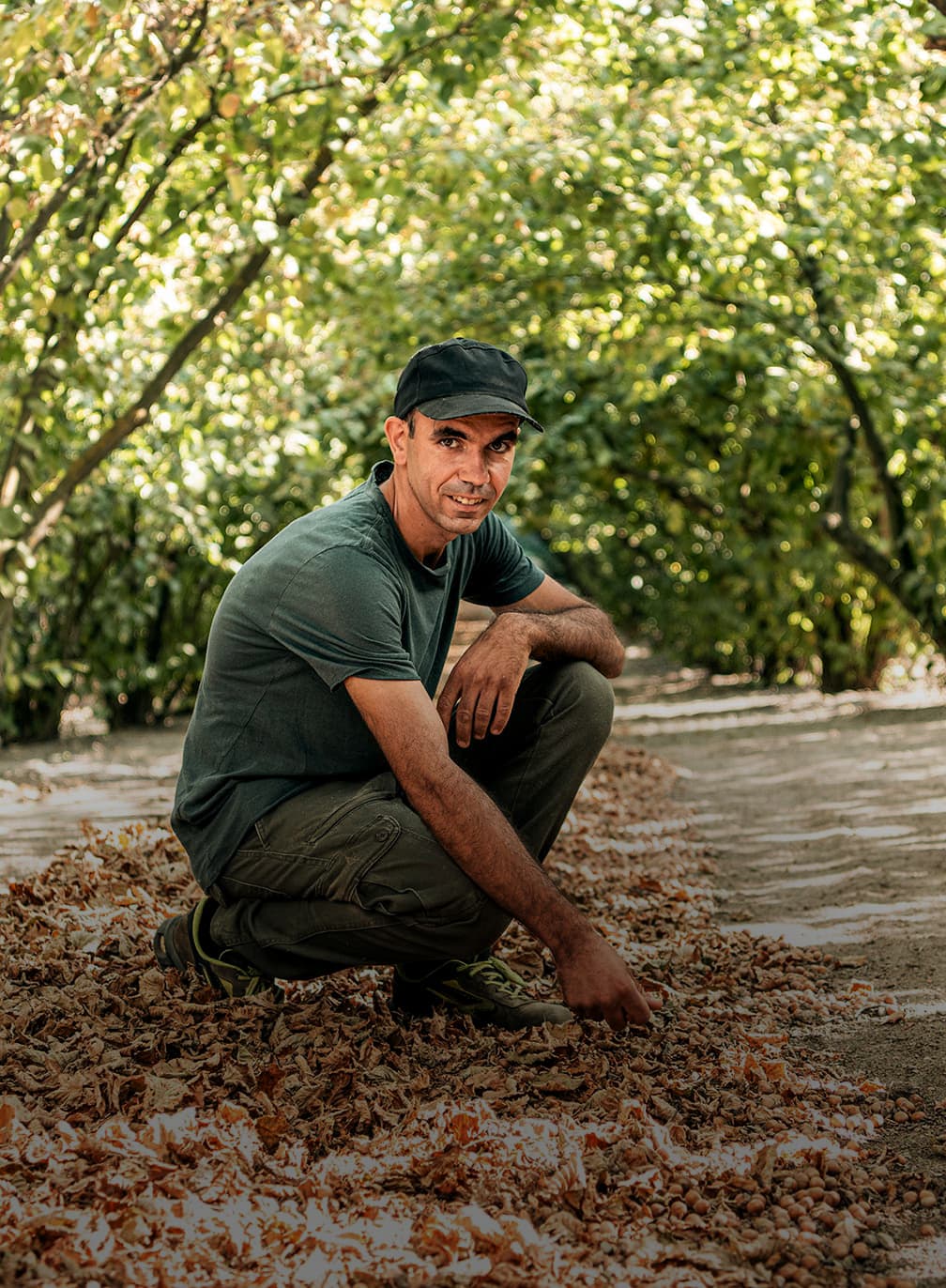 Tonda Gentile Trilobata, a visit to the queen of the hazelnuts